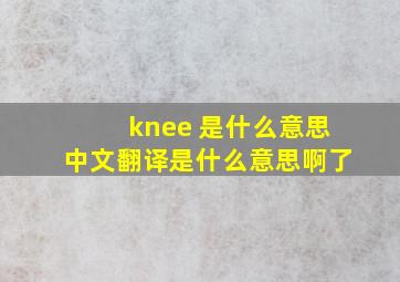 knee 是什么意思中文翻译是什么意思啊了